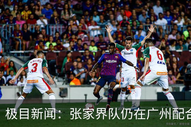 极目新闻：张家界队仍在广州配合调查，警方和多个主管部门已介入